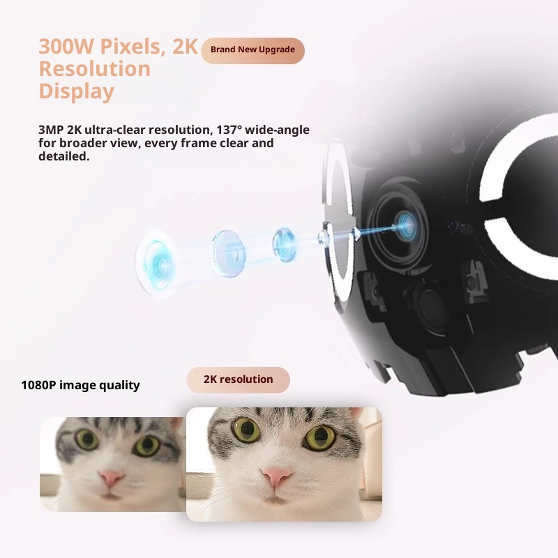 Enabot ROLA روبوت ذكي صغير كام - مراجعة Home Security Robot وسعره